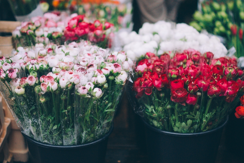 fleuriste-SAUZE-min_farmers-market-1209712